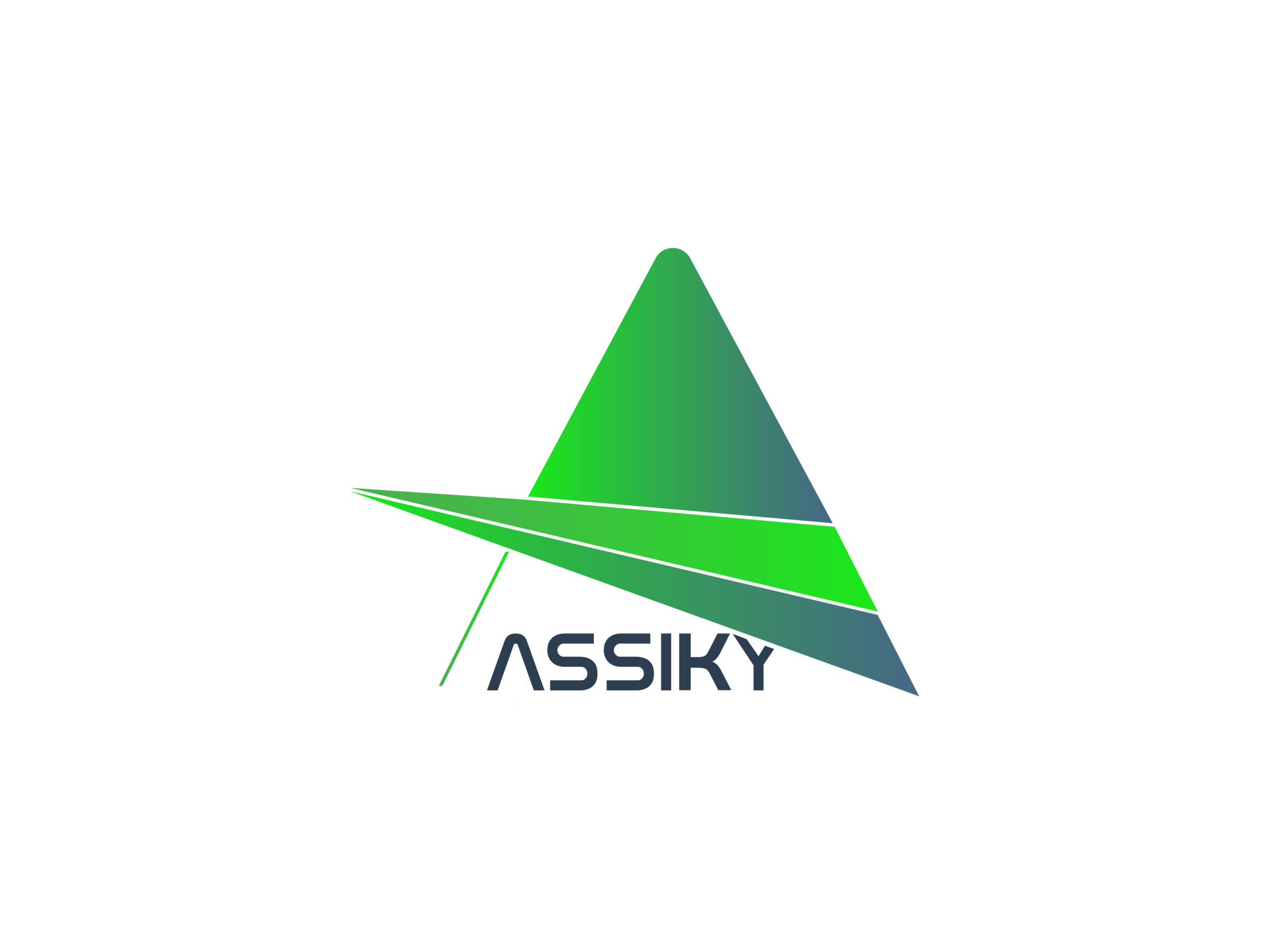 Logotype_Assiky_4300x-100
